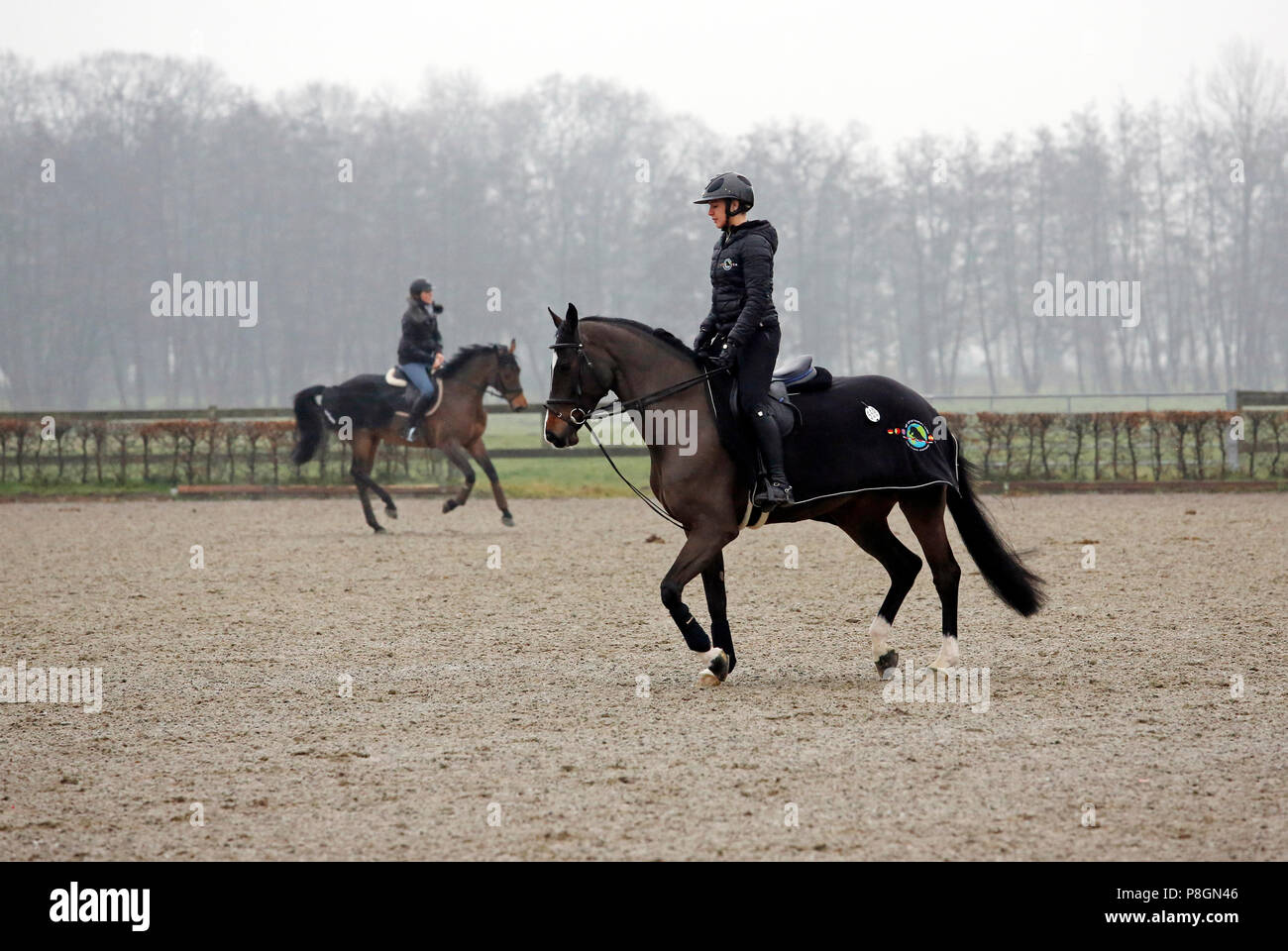 Neustadt (Dosse) sind die Pferde im Winter auf einem Turnier geritten Stockfoto