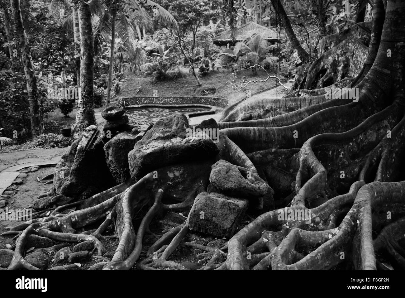 Das Gelände der Hindus Schrein GOA GAJAH auch bekannt als die ELEFANTENHÖHLE, 9. Jahrhundert - UBUD, BALI, Indonesien Stockfoto