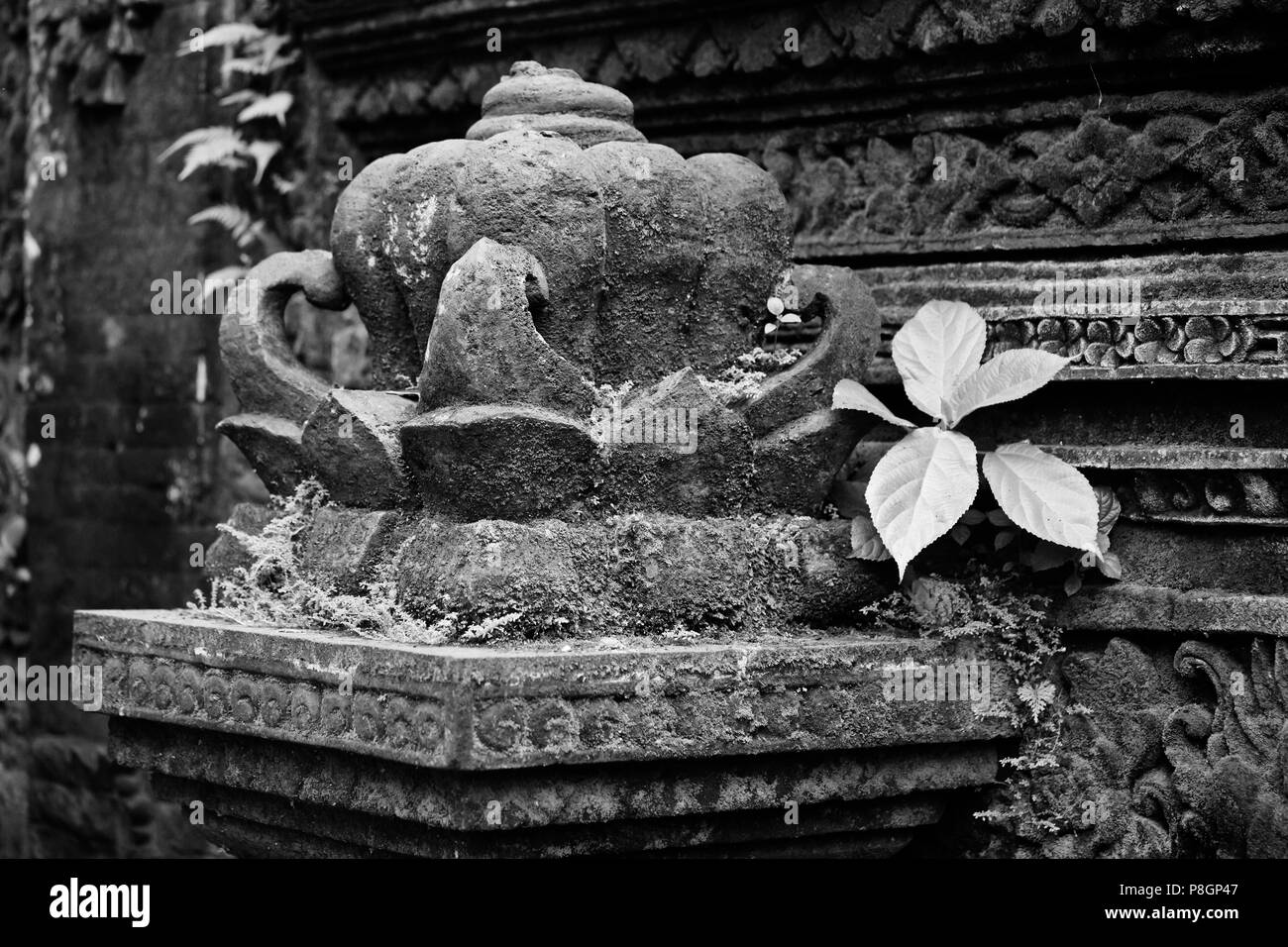 Ein Stein findet man geschnitzte LOTUS im hinduistischen Tempel PURA NAGA SARI in den MONKEY FOREST PARK - UBUD, BALI, Indonesien Stockfoto