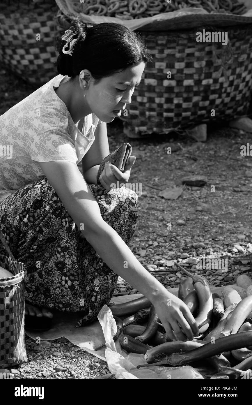 Kauf von Auberginen auf dem Wochenmarkt am MAING THAUK - INLE-See, MYANMAR Stockfoto