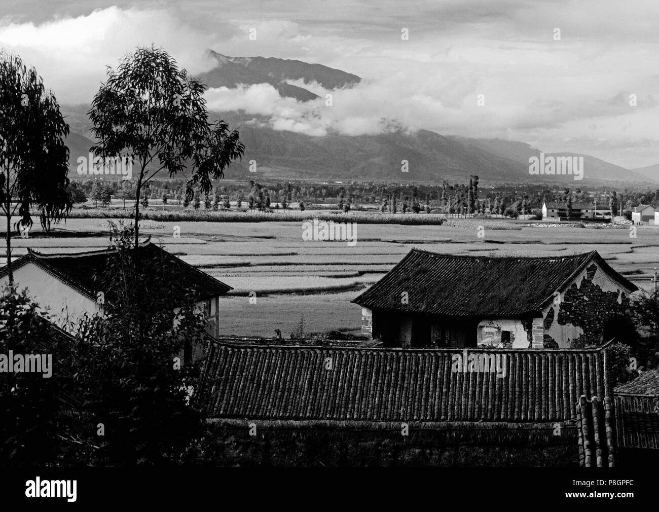 Reisfelder erstrecken sich hinter FARM Häuser in der Nähe des ländlichen Bauerndorf von Dali, Yunnan, China Stockfoto