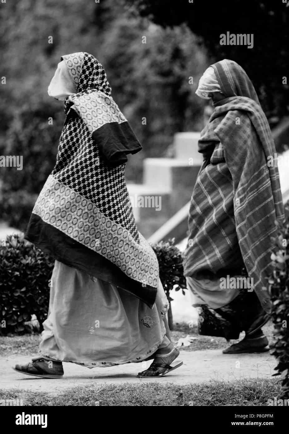 RAJASTHANI Frauen und Blumen im Garten des Großmoguls von NISHAT in SRINIGAR - Kaschmir, Indien Stockfoto