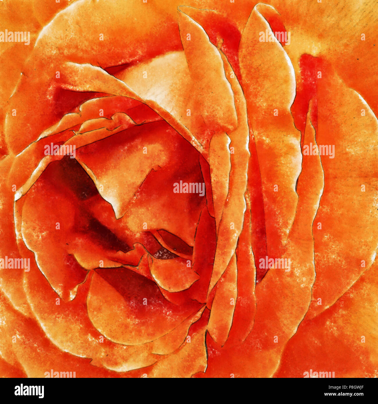 Closeup orange Rose bildende Kunst, digitale Malerei von Hand erstellt mit verschiedenen Techniken Aquarell auf Papier zu ähneln. Stockfoto