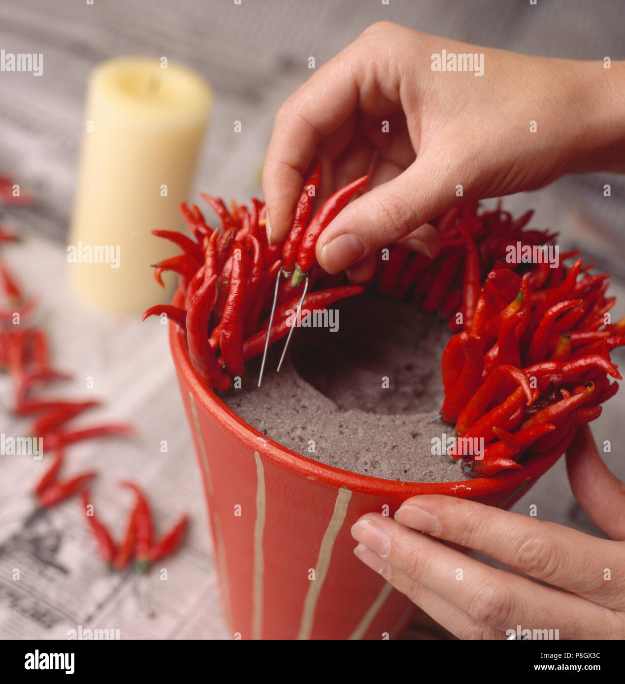 Nahaufnahmen der Hände frische rote Chilis in Rot lackierten Blumentopf zu festliche Tischdekoration für redaktionelle NUR VERWENDEN Stockfoto
