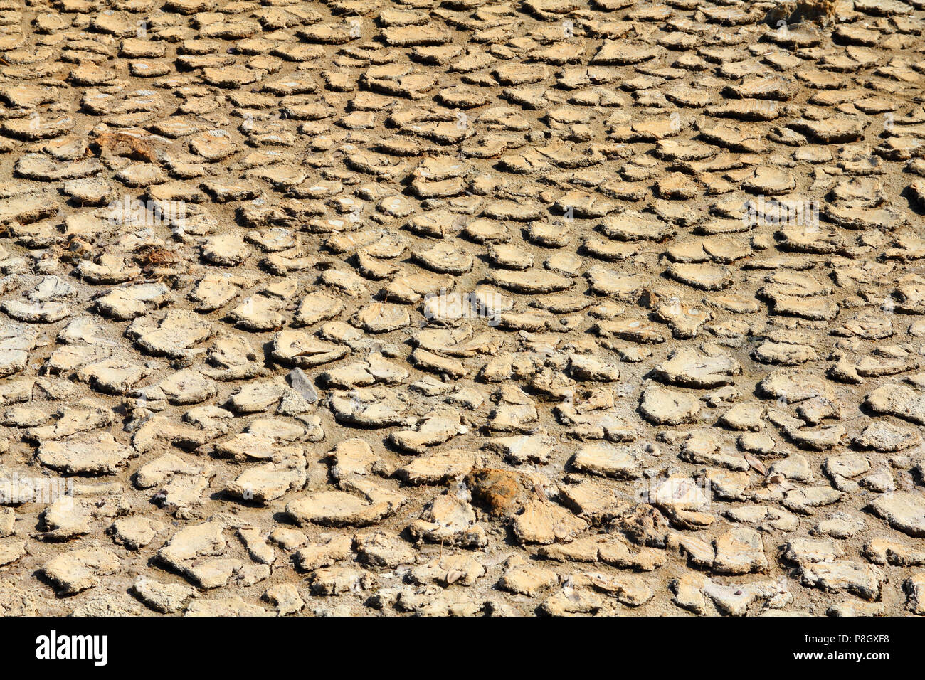 Treibhauseffekt und globale Erwärmung - trockene Rissige Erde in Afrika Stockfoto