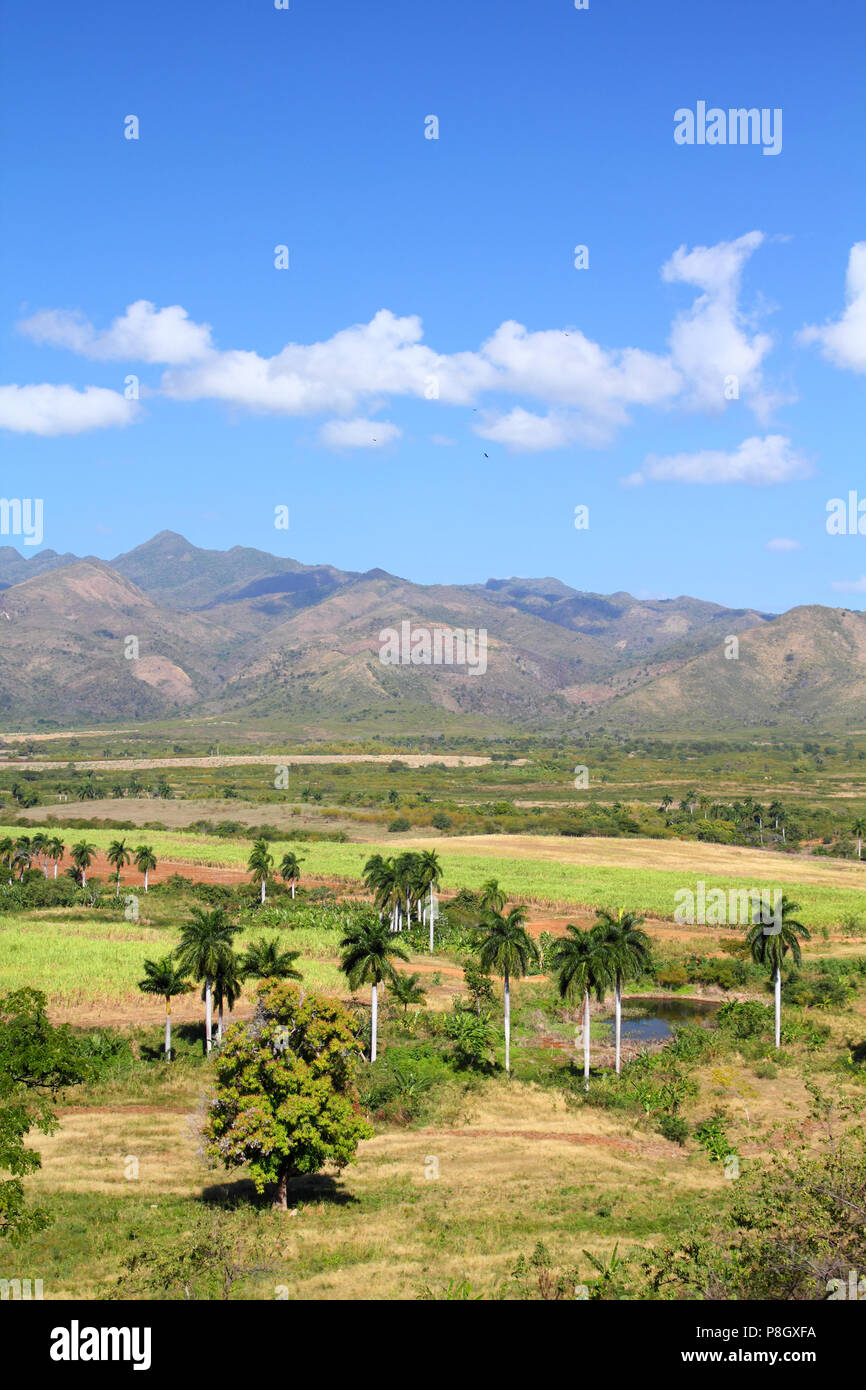 Kuba - Valle de Los Ingenios, UNESCO-Weltkulturerbe. Stockfoto