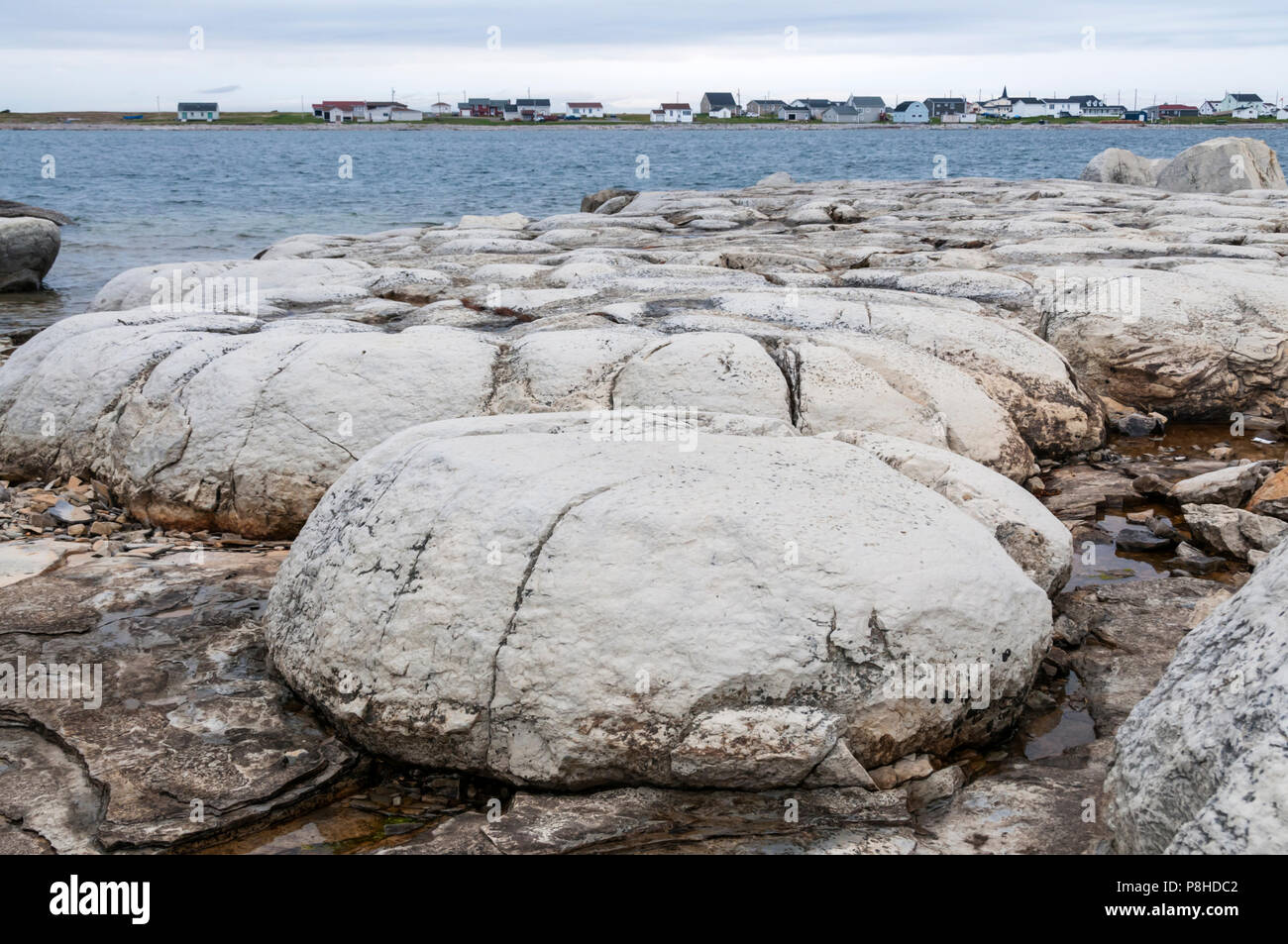 Thrombolites am Ufer bei Blumen Cove, Neufundland Stockfoto