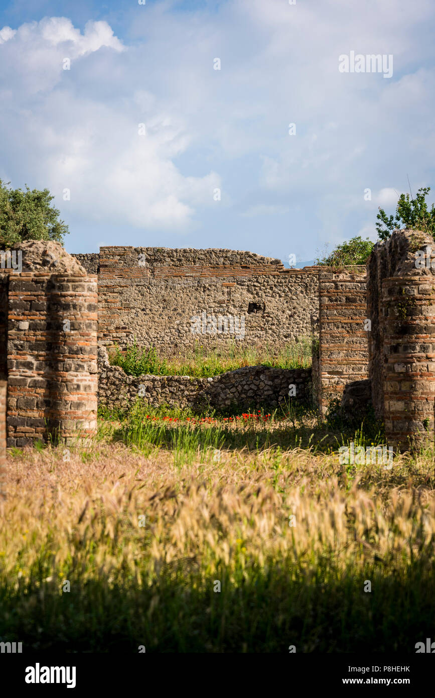 Pompeji, archäologische Stätte in der Nähe von Neapel, Concordia Augusta, Forum, Italien Stockfoto