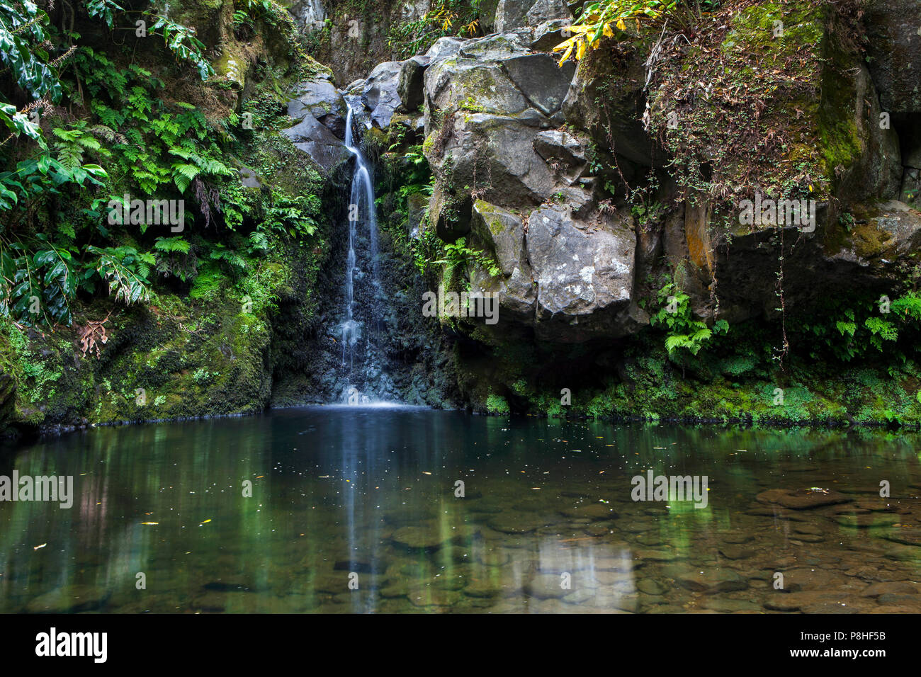 Wasserfall im Parque Natural da Ribeira dos Caldeiroes, Sao Miguel, Azoren Stockfoto