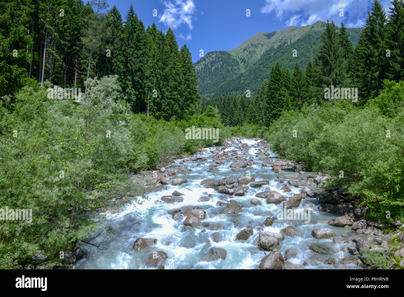 Fluss im Wald im Naturpark Adamello Brenta, Dolomiten, Italien fließt Stockfoto