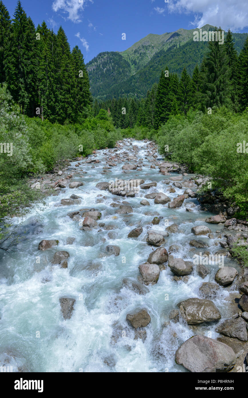 Fluss im Wald im Naturpark Adamello Brenta, Dolomiten, Italien fließt Stockfoto