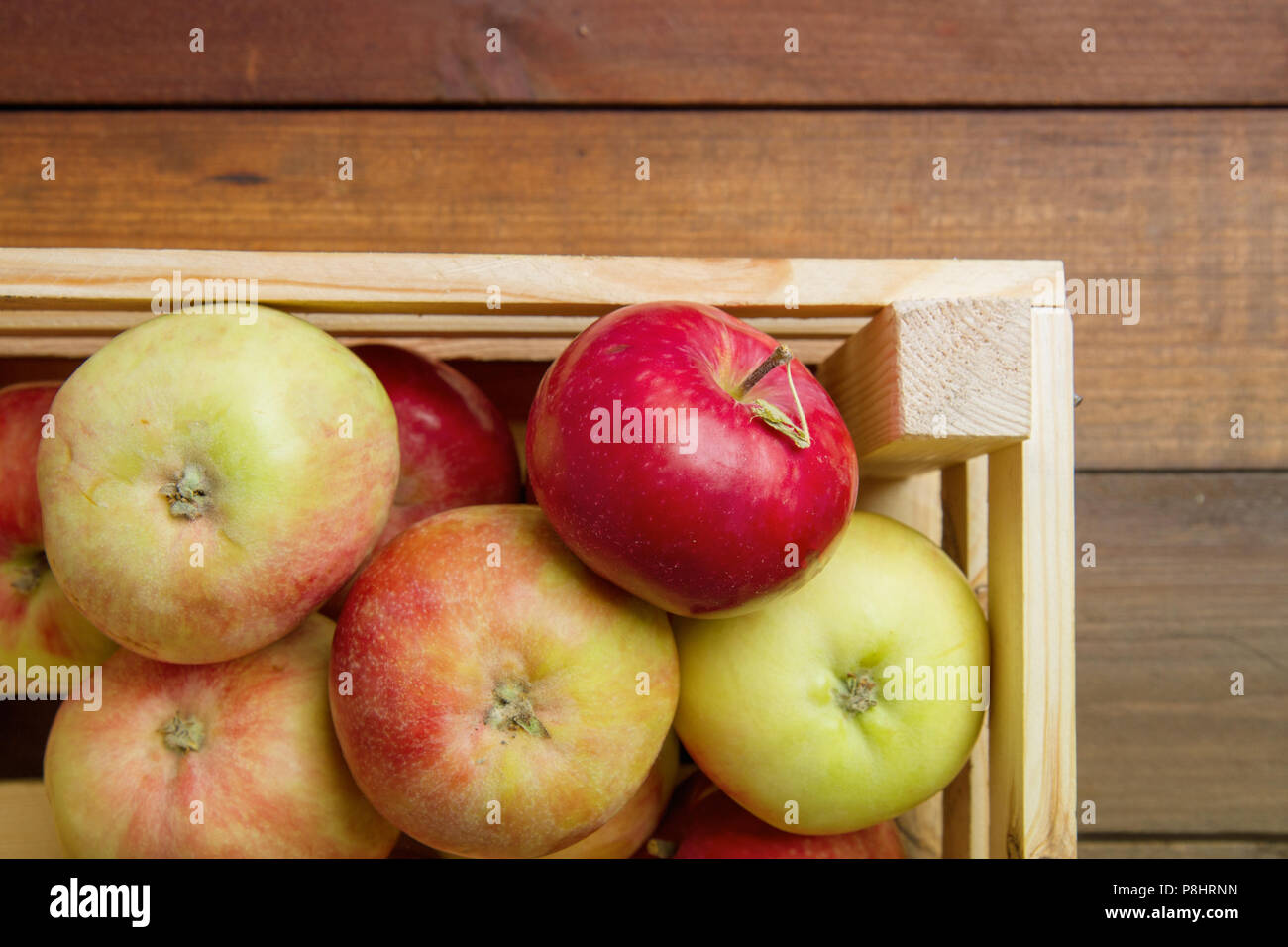 Eine reife Ernte von Äpfeln in einer kleinen Holzkiste, die auf dem Hintergrund der dunkle Boards Stockfoto