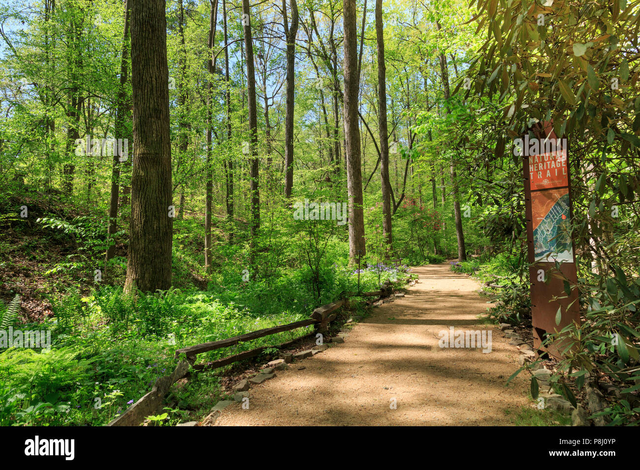 South Carolina Botanical Garden, Clemson, South Carolina, USA Stockfoto