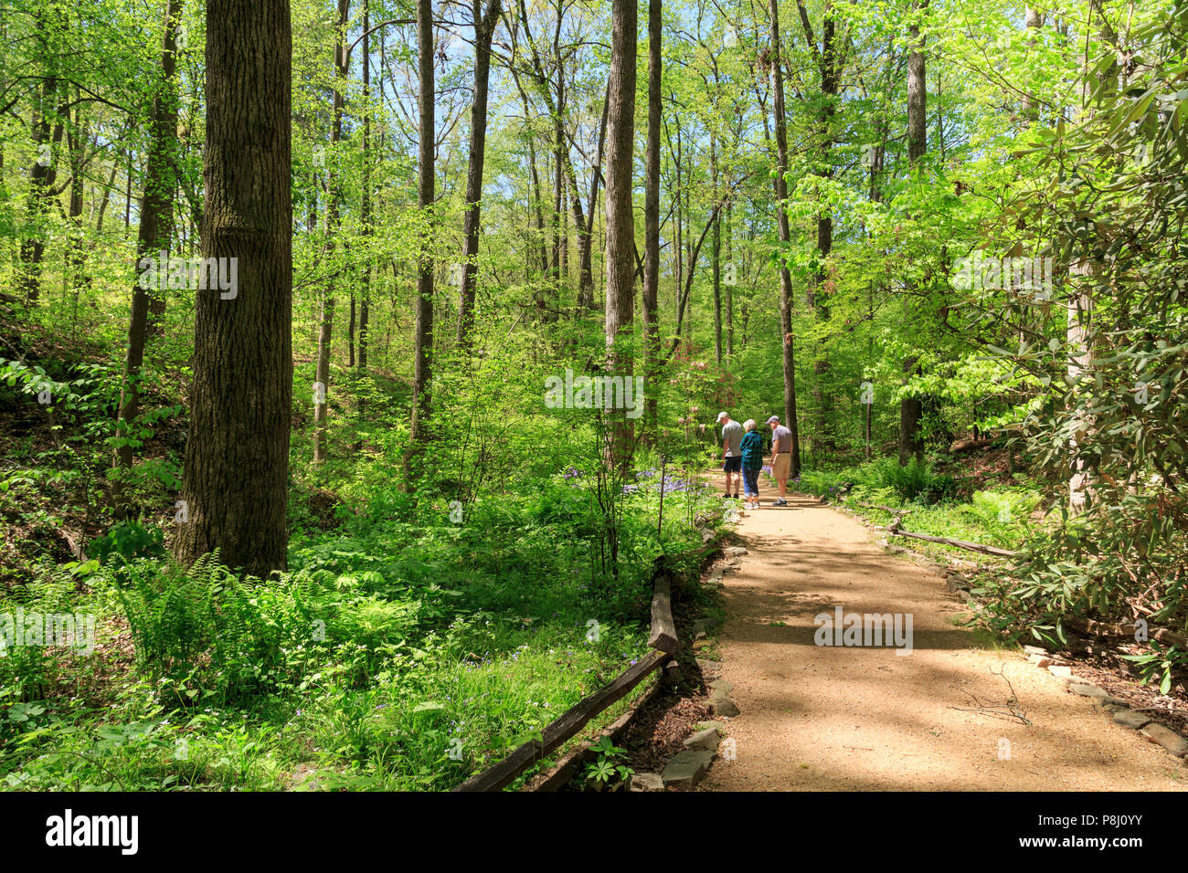 Die Besucher der South Carolina Botanical Garden, Clemson, South Carolina, USA Stockfoto
