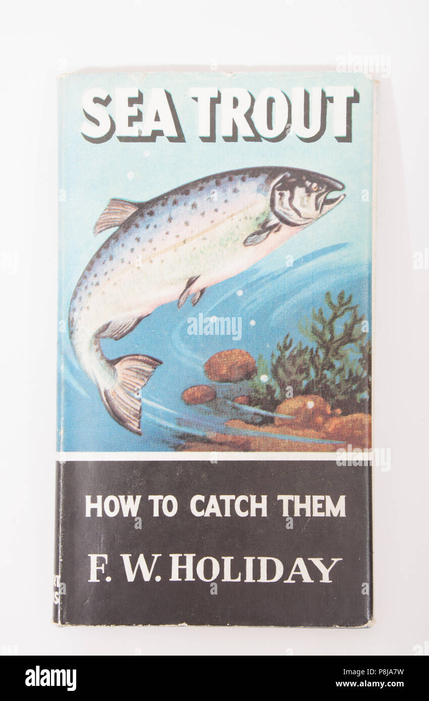 Meerforelle zu Fangen von F.W. Urlaub. Die Wie fangen Sie Reihe von Angeln Bücher von Herbert Jenkins veröffentlicht wurden und lief von 1954 bis 1969 Stockfoto