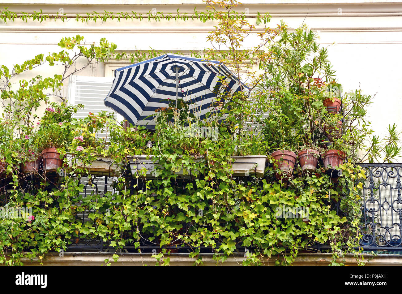 Einen blau-weiß gestreifter Sonnenschirm auf dem Balkon erstickt in Pflanzen, in Paris (Frankreich) und das Konzept der "taycation' dargestellt. Stockfoto