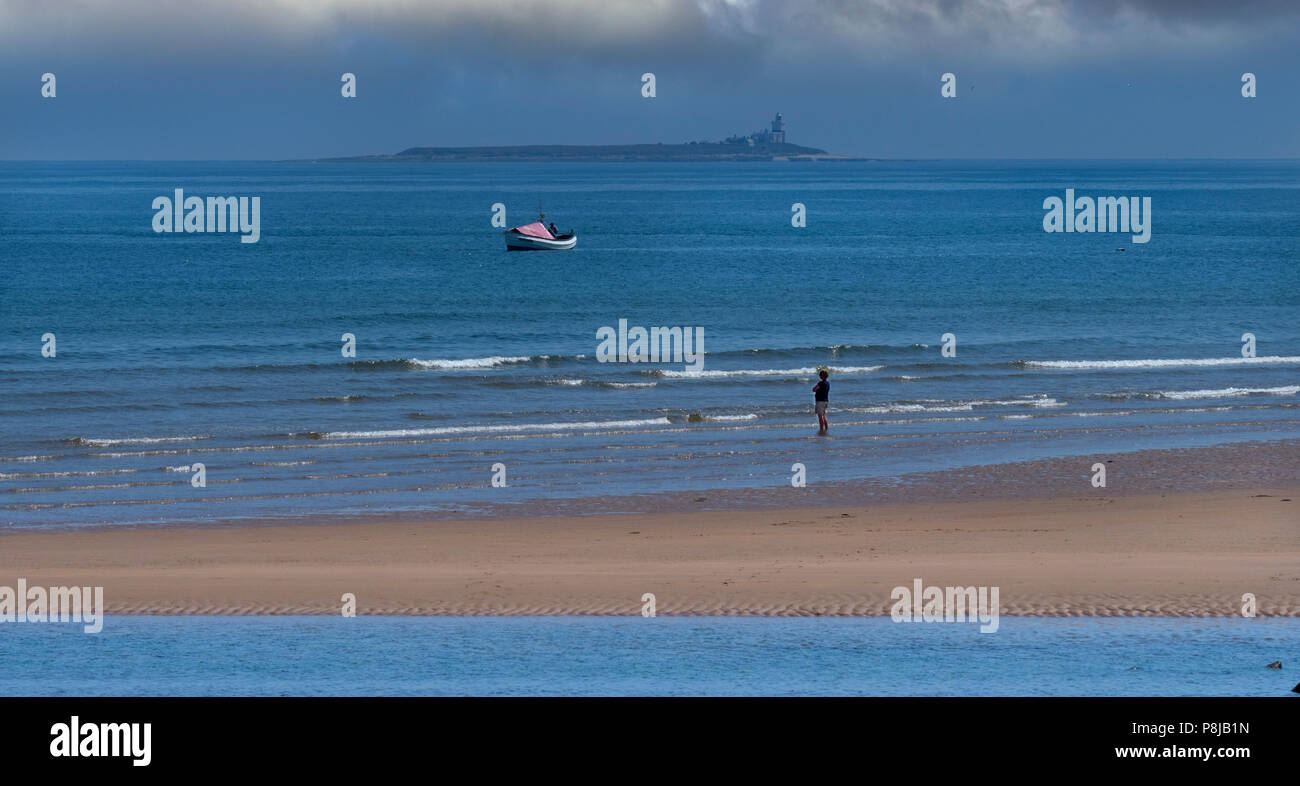 Angeln mit traditionellen coble Boot an Alnmouth mit Couquet Isand im Abstand UK Juli Stockfoto