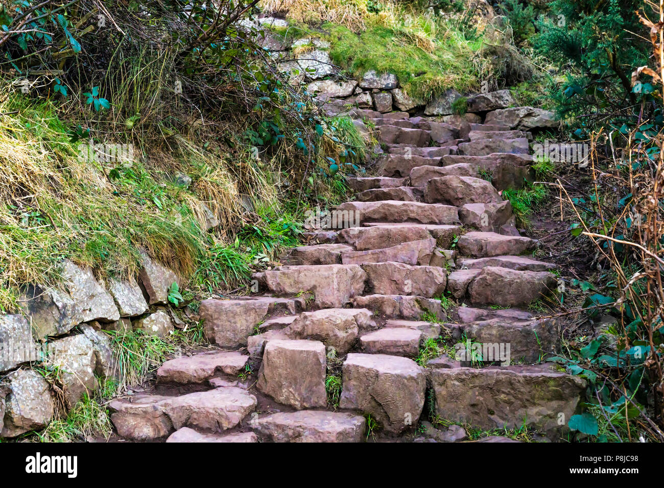 Treppe aus alten Stein Blöcke in den Park von Holyrood in Schottland gefunden. Stockfoto