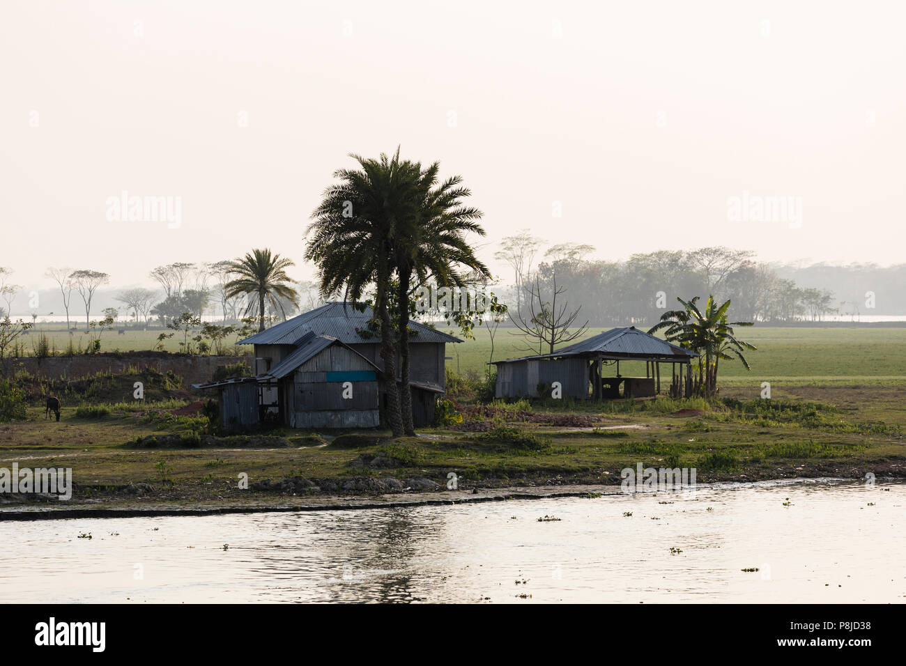 Khulna, Bangladesh, 1. März 2017: Hütten im Morgennebel an einem Fluss in Bangladesch Stockfoto