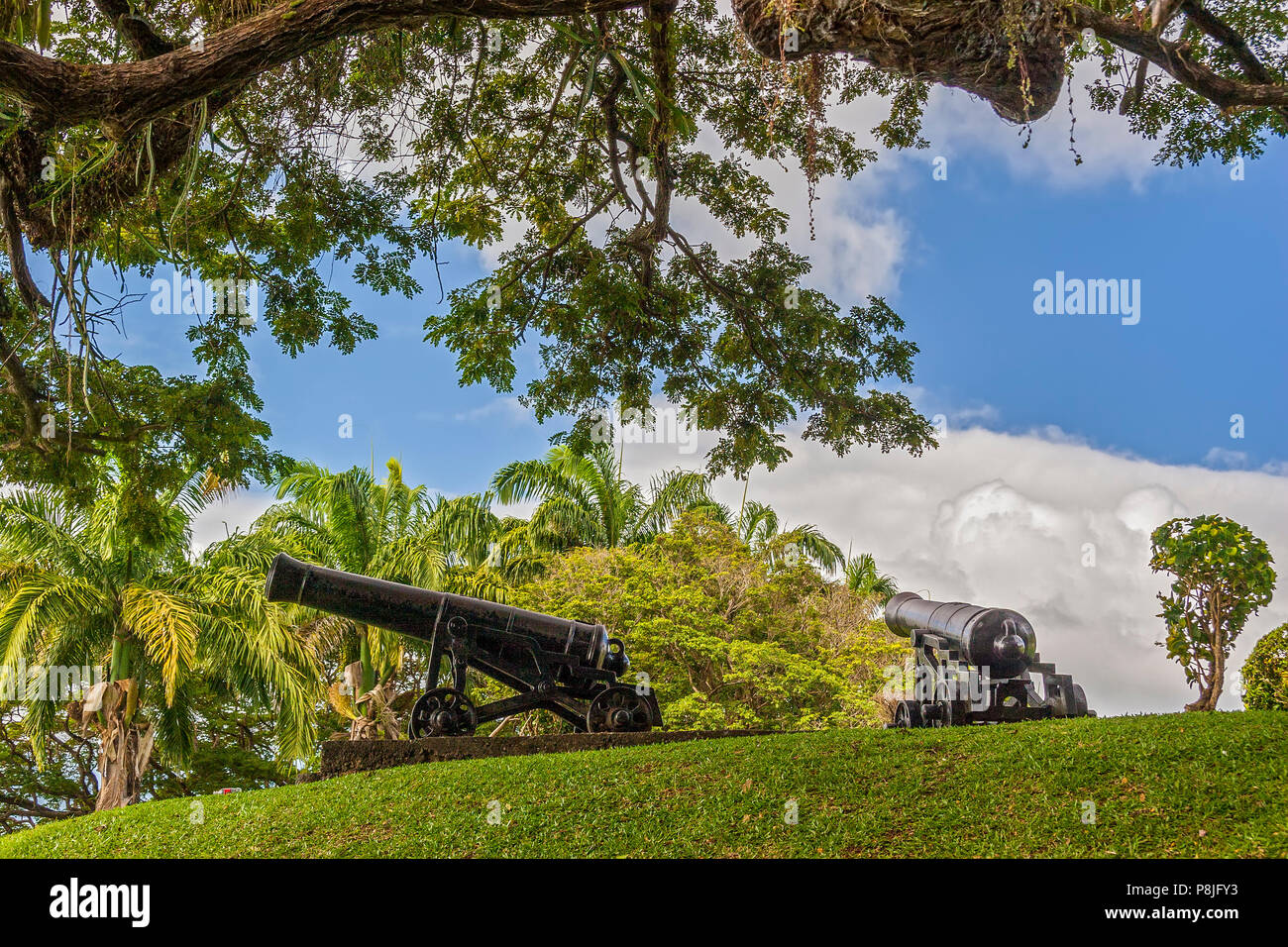 Kanone bei Fort King George, Tobago, West Indies Stockfoto