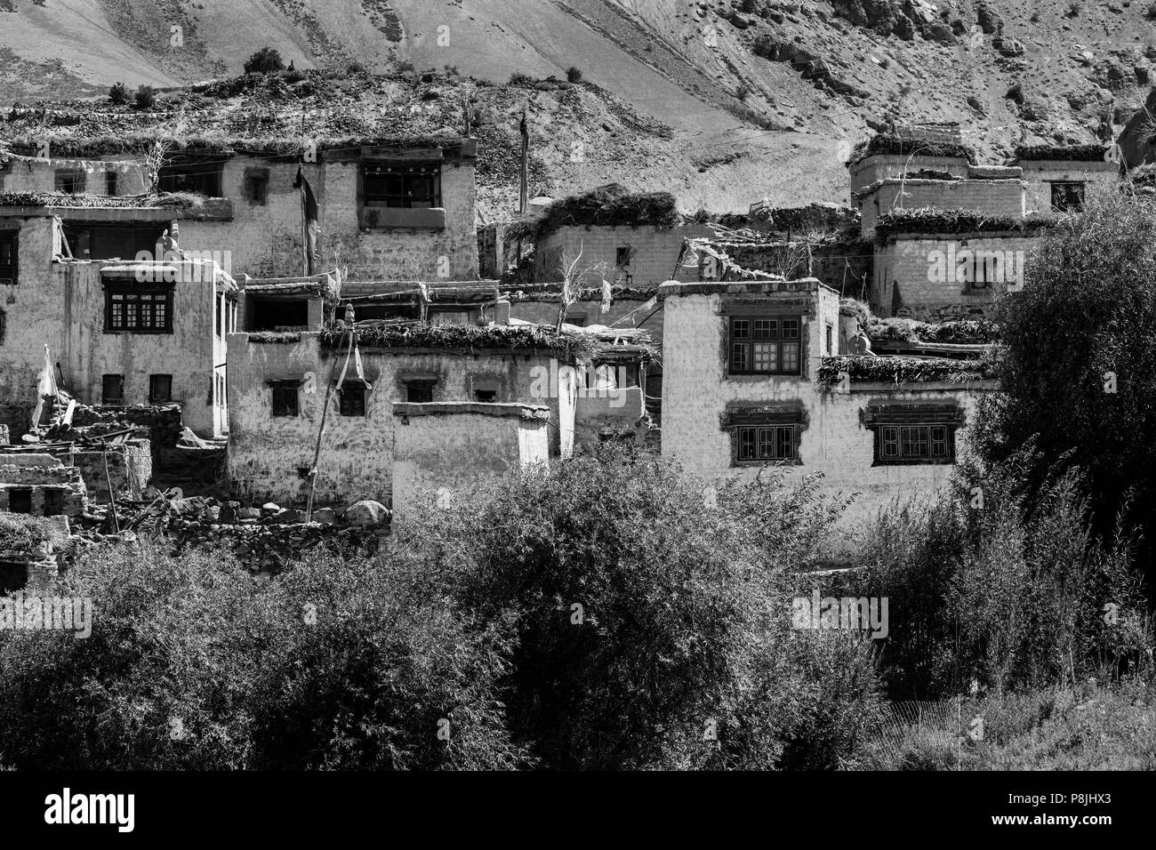 NYERAK Dorf im ZANSKAR RIVER GORGE - Zanskar, Ladakh, Indien Stockfoto