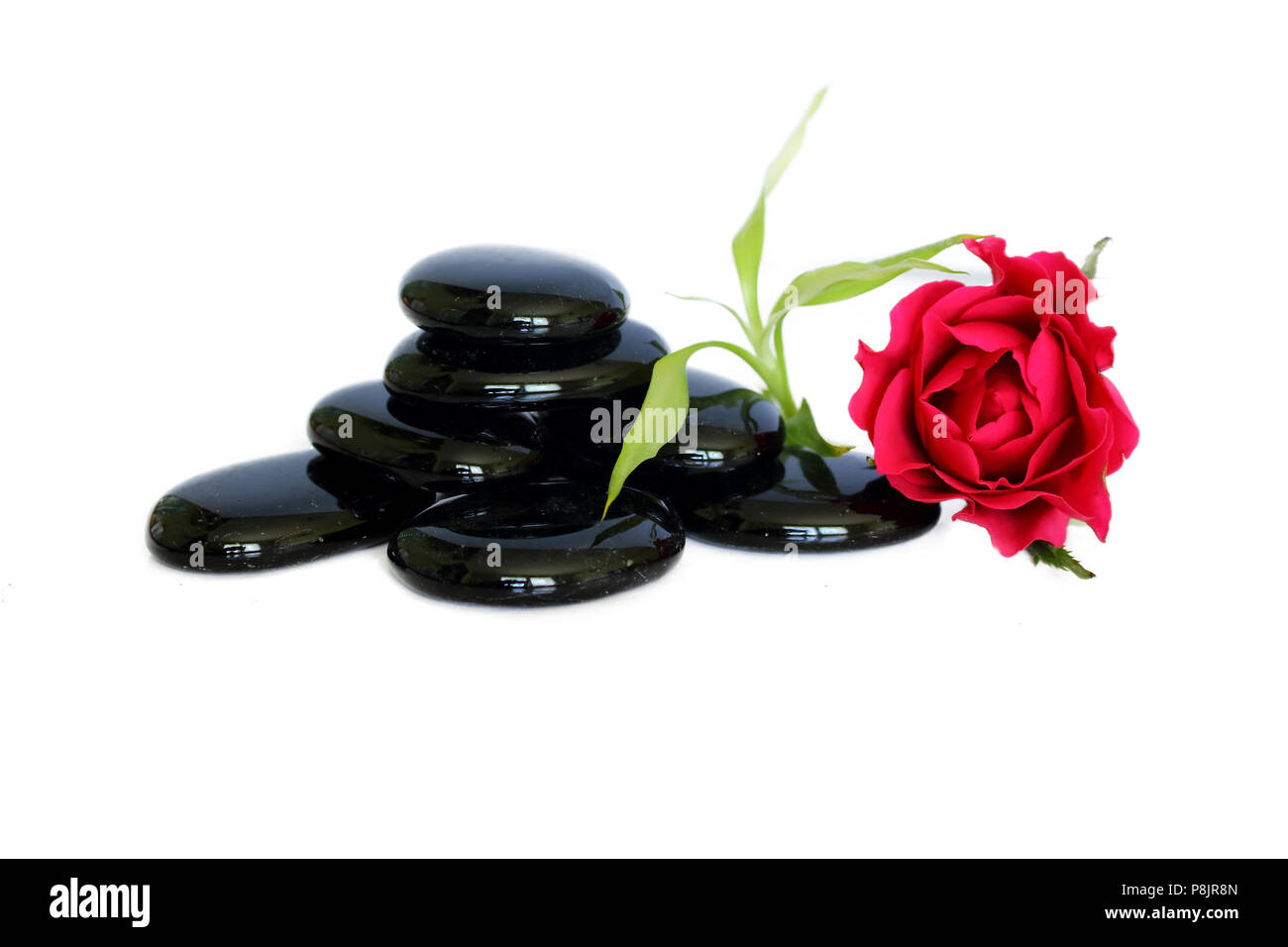 Glänzend schwarze Kieselsteine Zen Attitude Weste mit Bambus Blätter, ein Rose Blume und Blütenblätter Stockfoto