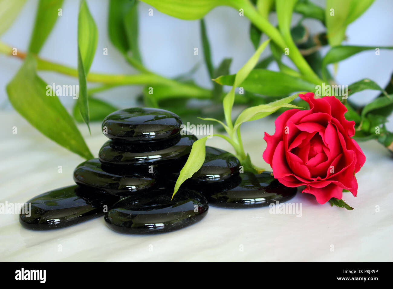 Glänzend schwarze Kieselsteine Zen Attitude Weste mit Bambus Blätter, ein Rose Blume und Blütenblätter Stockfoto