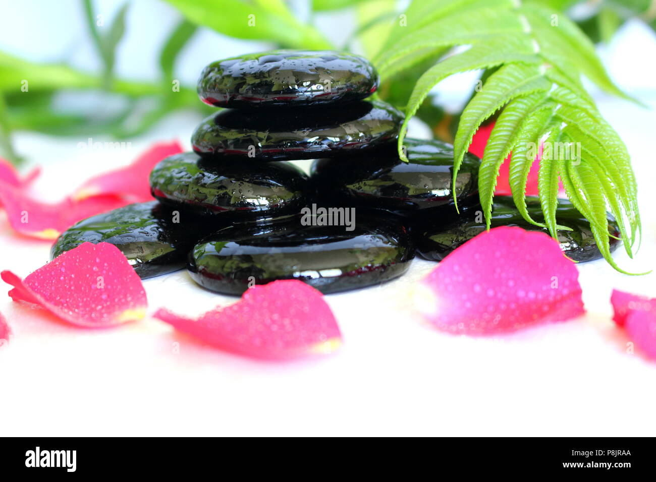 Glänzend schwarze Kieselsteine Zen Attitude Weste mit Bambus Blätter, ein Rose Blume und Blütenblätter Stockfoto