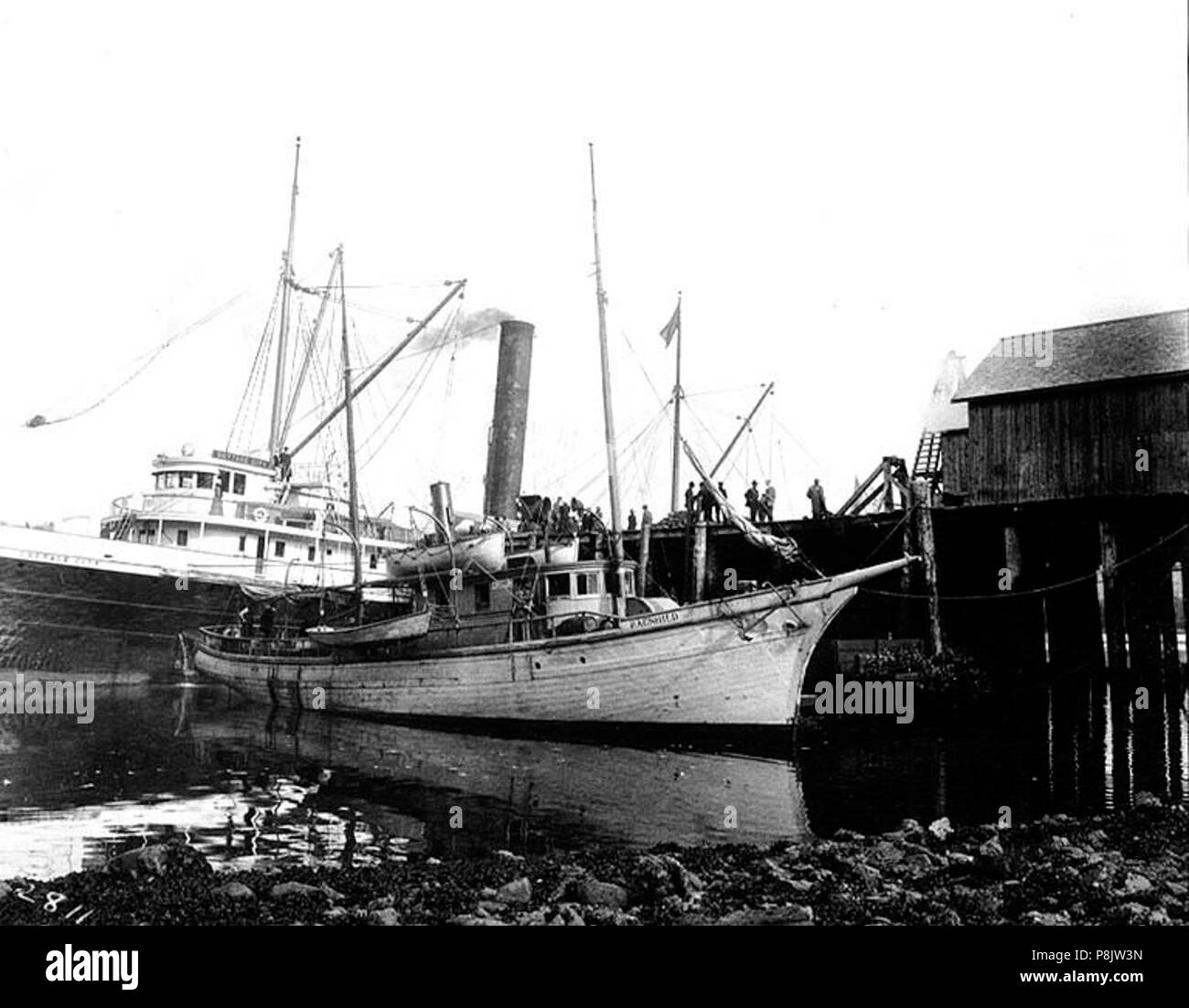 . 532 Dampfgarer RAGNHILD am Dock der Säule Bay Verpackung Co, Punkt Ellis, Alaska, 1909 (COBB 247) Stockfoto