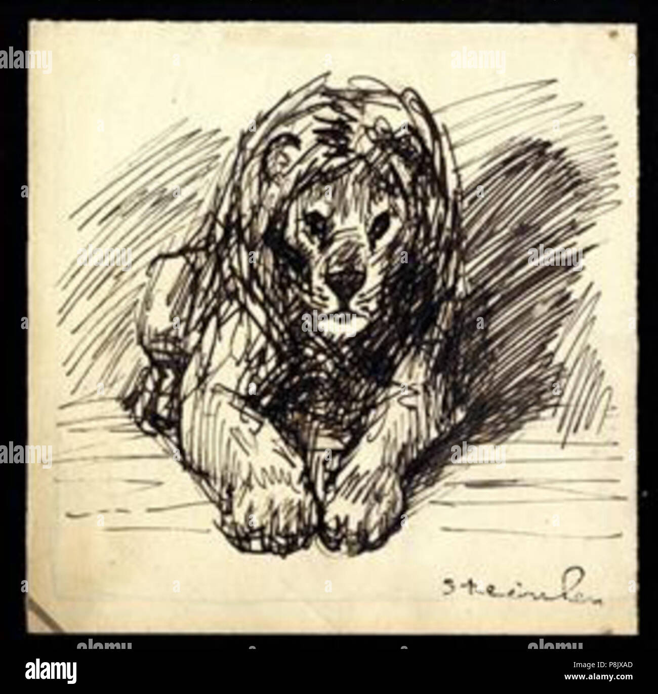 . 536 Steinlen - Lion-3 Stockfoto