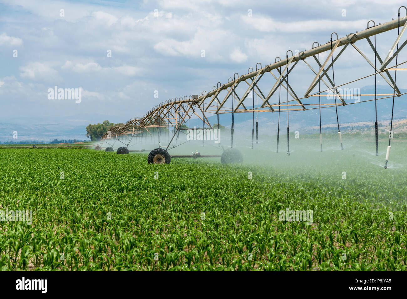 Seitliche Bewegung Bewässerungssystem Stockfoto