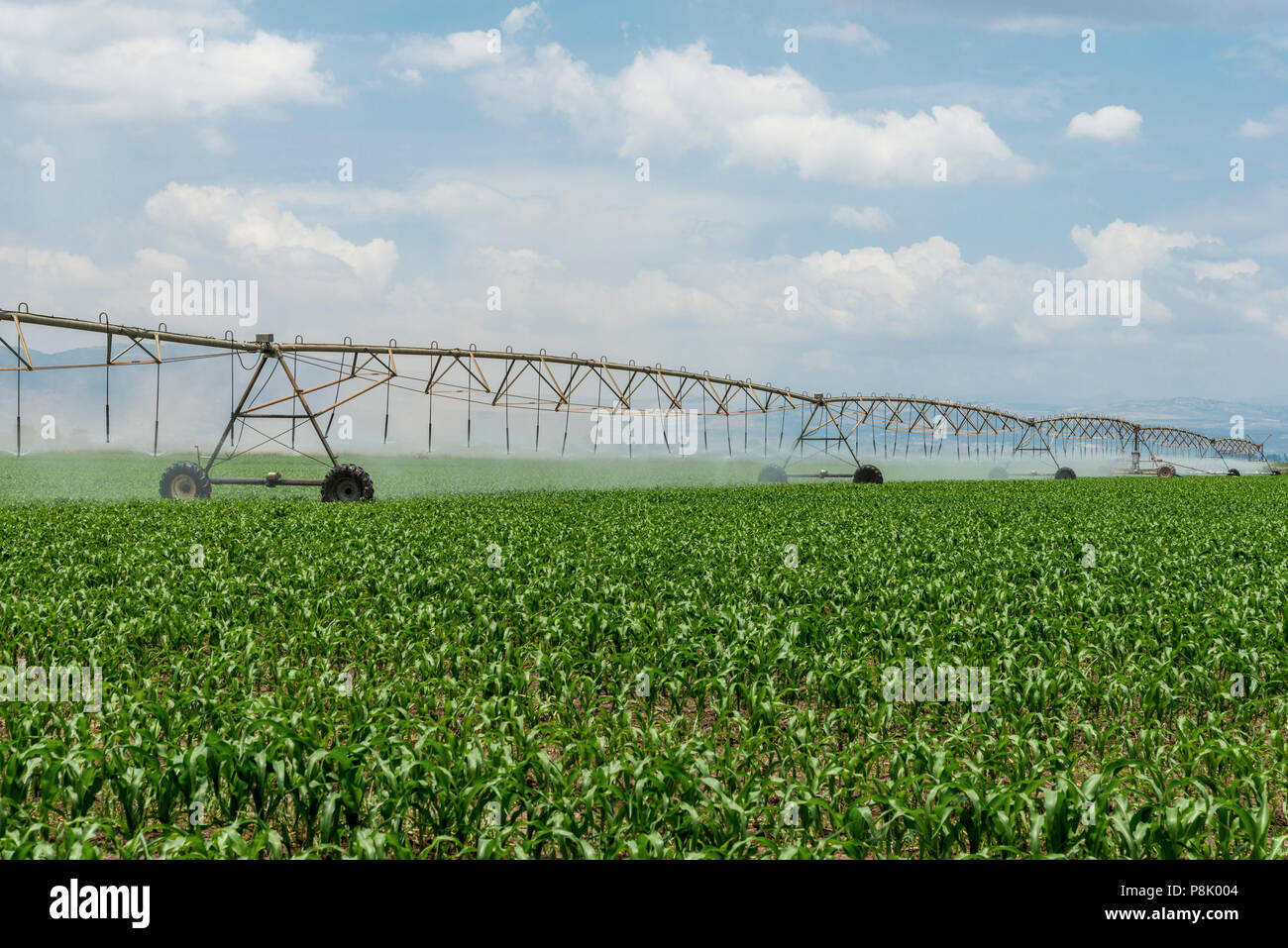 Seitliche Bewegung Bewässerungssystem Stockfoto