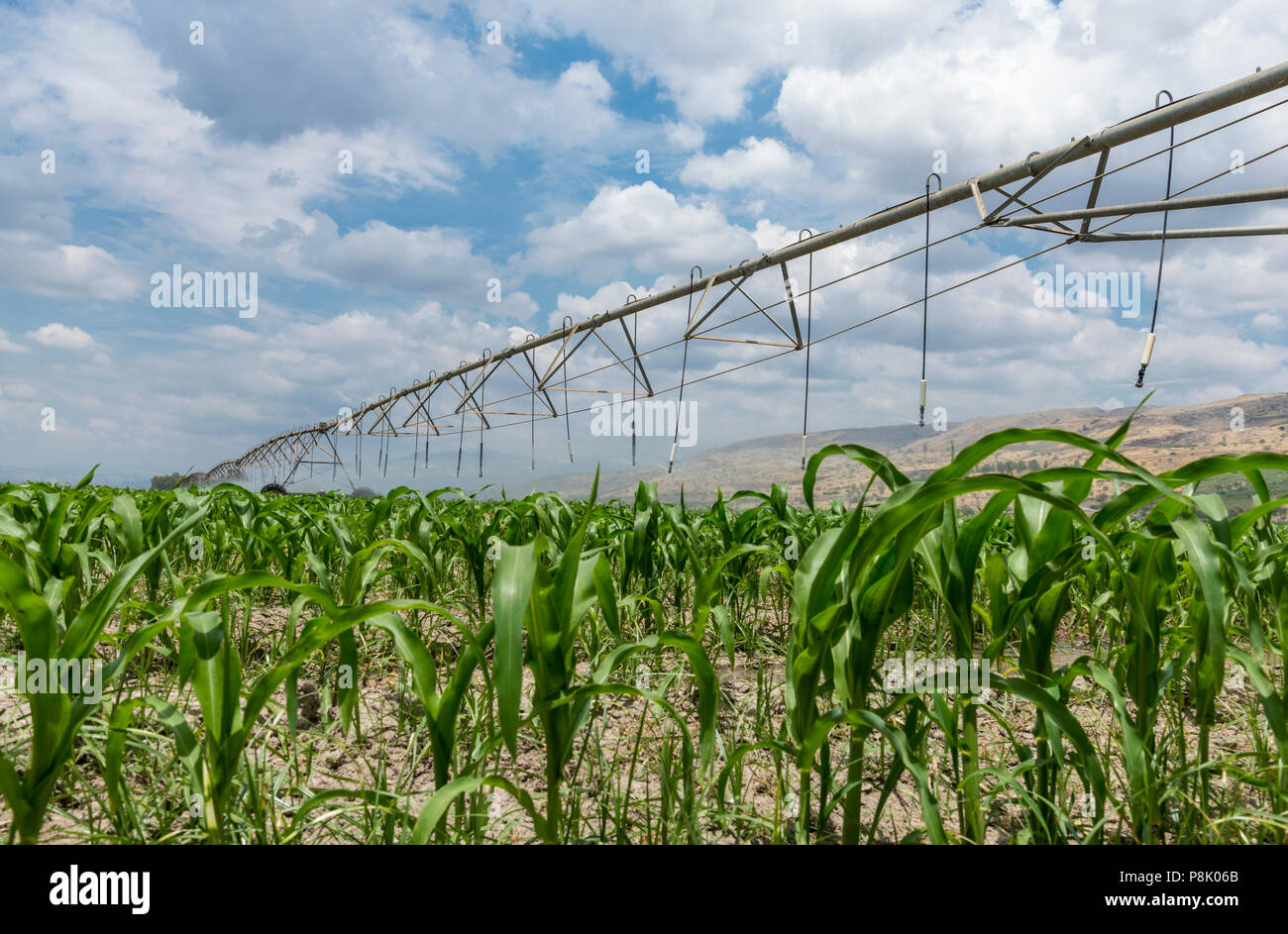 Seitliche Bewegung Bewässerungssystem Stockfoto