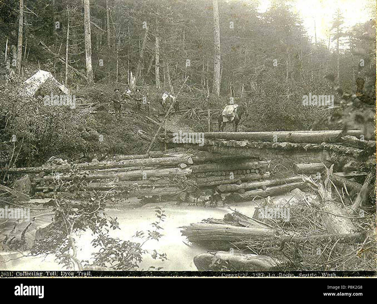 . 557 Mautstraße auf den Chilkoot Trail, Alaska, 1897 (LAROCHE 226) Stockfoto