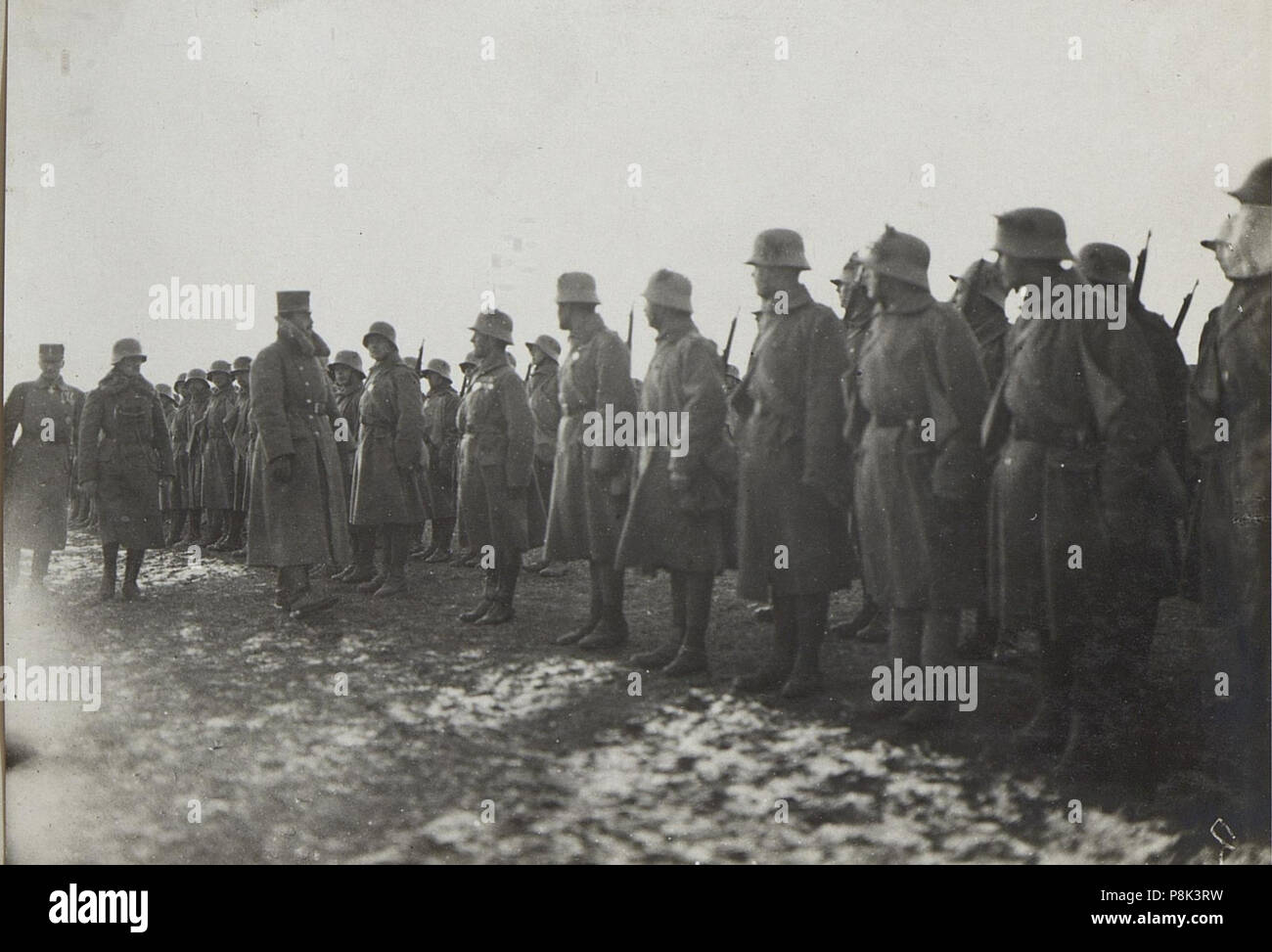 562 Truppeninspizierung Sr. Majestät in Zastarone 1917. (BildID) 15665993 Stockfoto