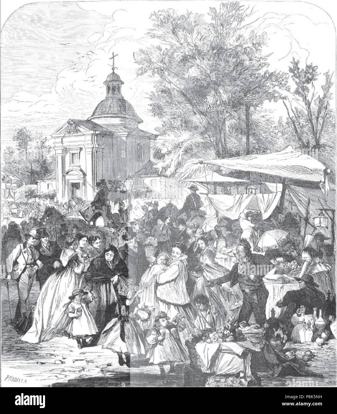 . 569 Verbena de San Antonio de la Florida Stockfoto