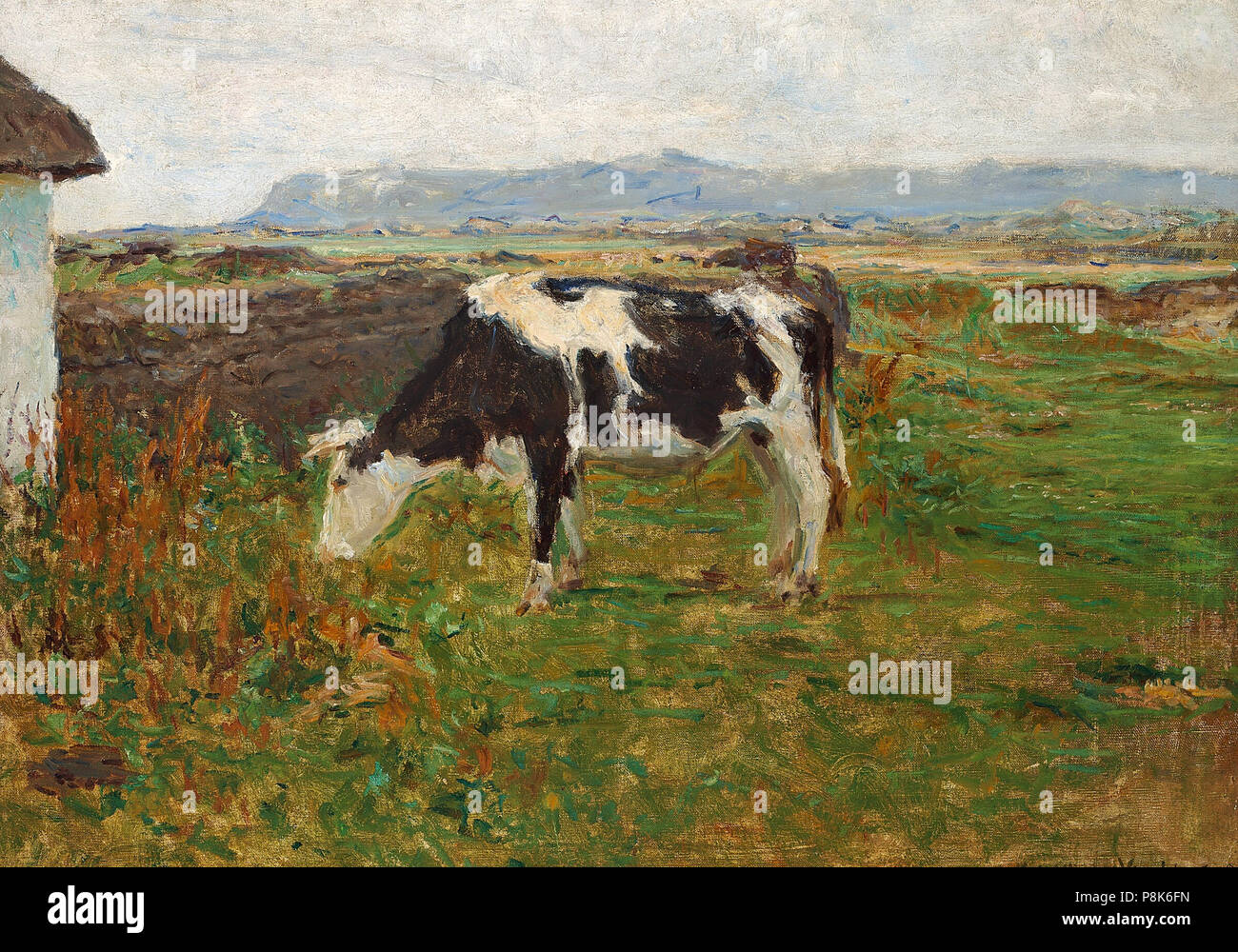 573 Viggo Johansen-En graessende ko på kuperede Marker ich Svinkløv - 1891 Stockfoto