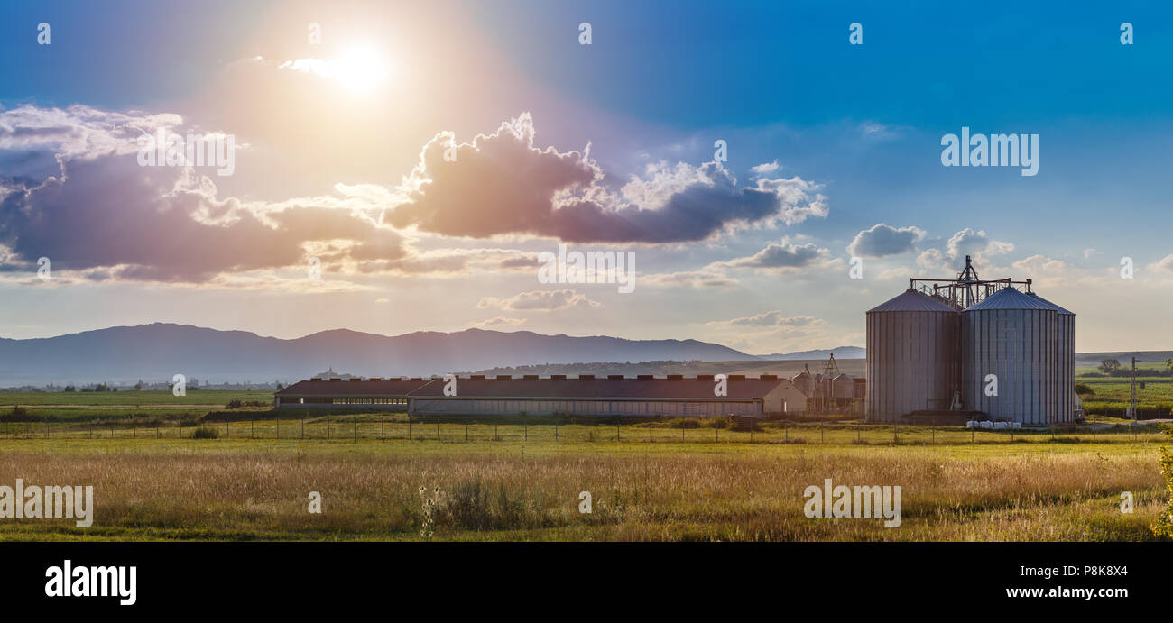 Neue moderne Schweinehaltung außen in der Landschaft Stockfoto