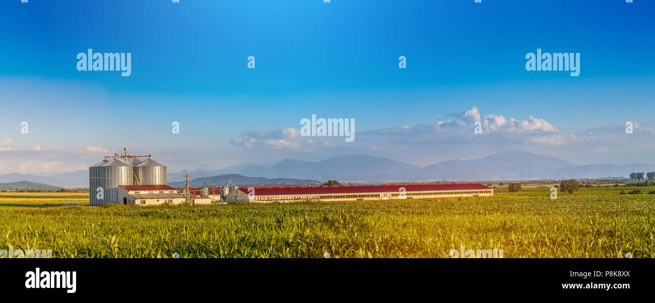 Panorama der neuen modernen Schweinefarm außen Stockfoto