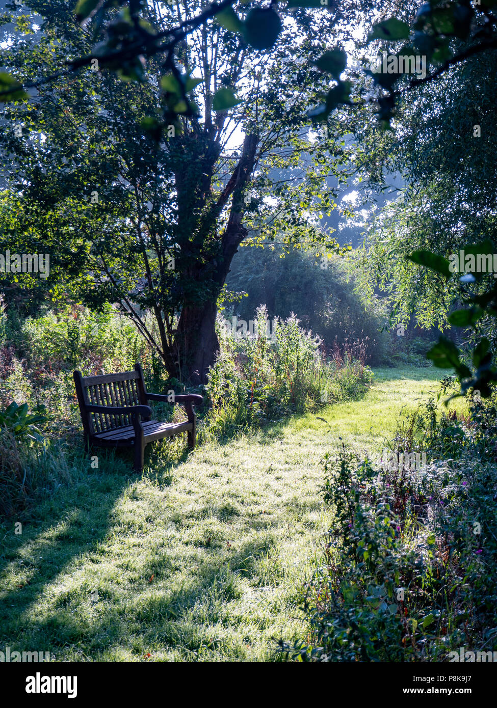 Wild Englischer Garten im September Stockfoto