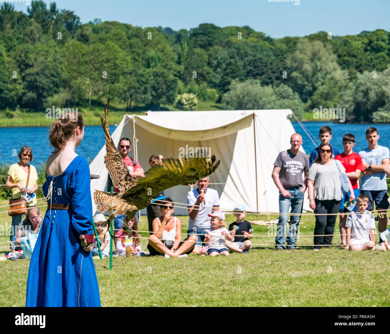 Mittelalterfest, Linlithgow Palace, Schottland, Großbritannien. Sommer Unterhaltung Familie Spaß-Tag; Uhu Raubvogel durch Strathblane Falknerei Stockfoto