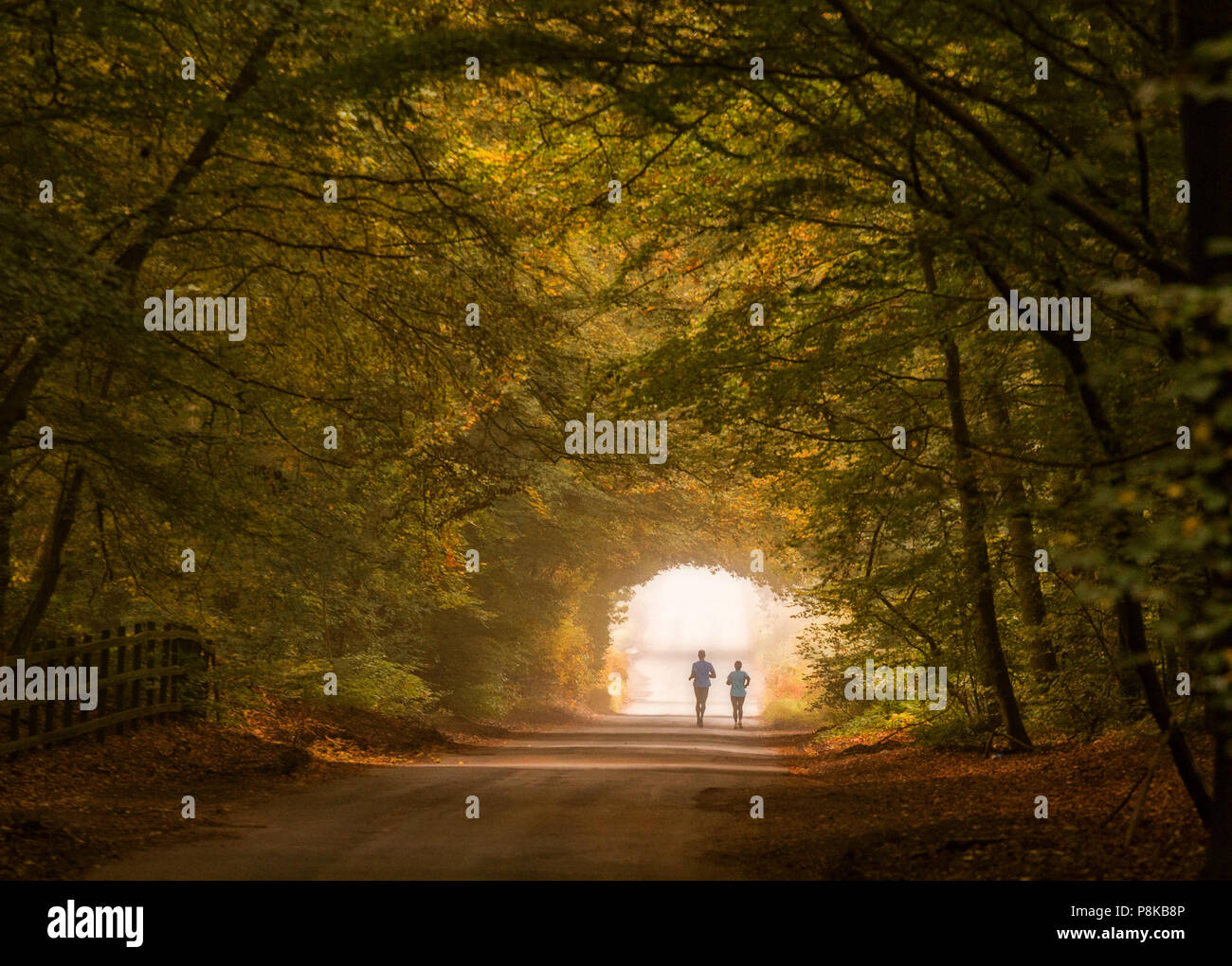 Herbst Jogger in Oxfordshire Stockfoto