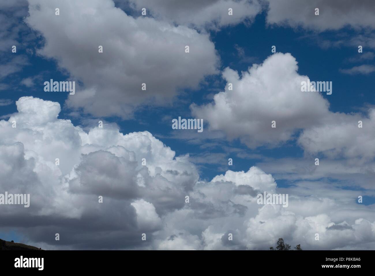 Cumulus Wolken gegen eine saubere, klare blaue New Mexico Sommer sky Stockfoto