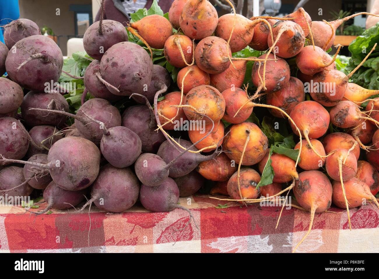 Organisch Golden und violetten Rüben zum Verkauf zu einem Bauernmarkt in Taos New Mexico angebaut Stockfoto
