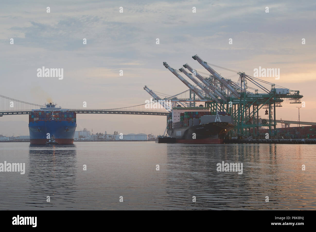 Der scheidende COSCO VERSAND, CSCL-Herbst, Links, und der immergrüne Containerschiff, IMMER SMART, Be- und Entladung in der EVERPORT Container Terminal. Stockfoto