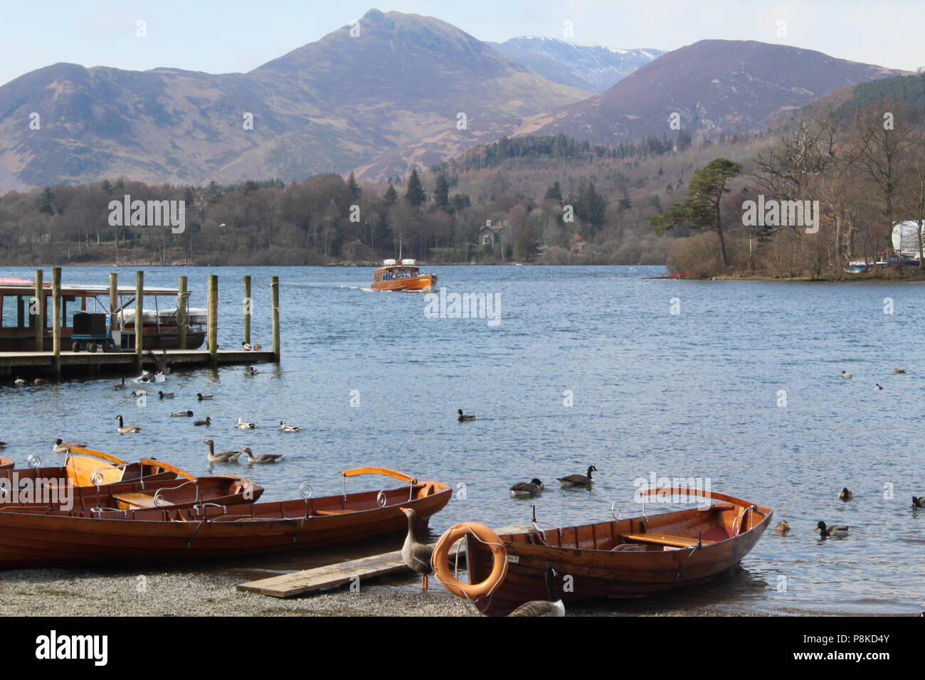 Lady Derwentwater Motorstart mit Derwent Isle im Hintergrund. Cumbria Großbritannien, Großbritannien Stockfoto