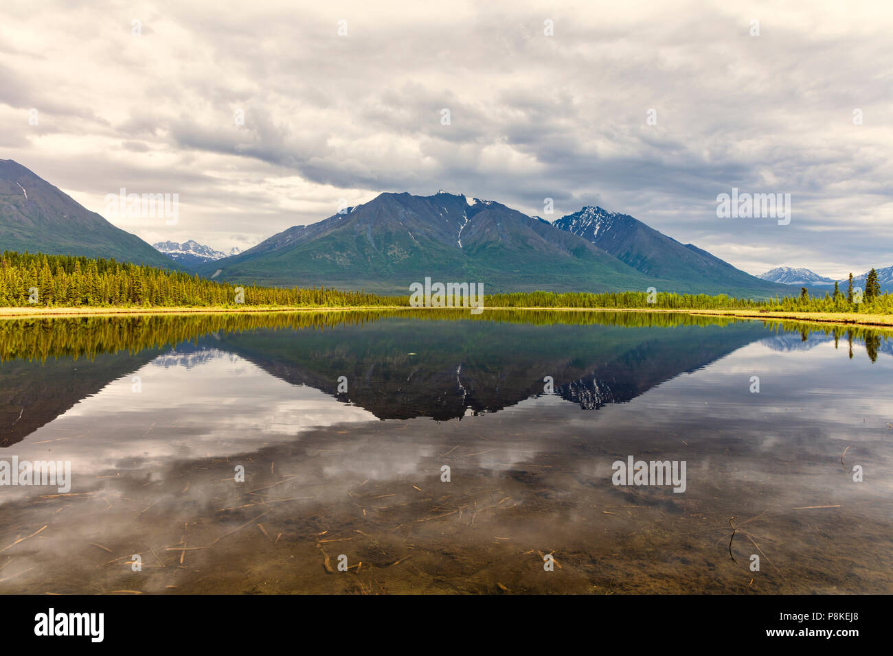 Reflexion der Wrangell Mountains im Teich in Wrangell-St. Elias National Park in Southcentral Alaska. Stockfoto