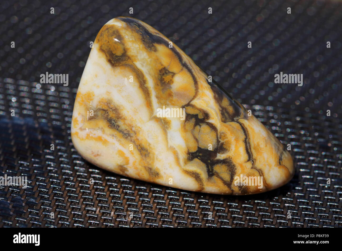 Prairie Achat, auf dem Buffalo Gap National Grassland von South Dakota, Vereinigte Staaten gesammelt Stockfoto