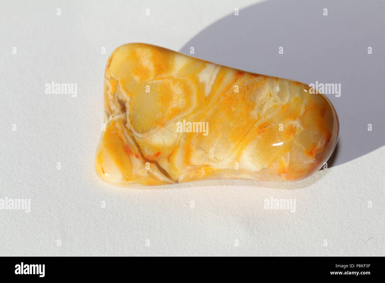 Prairie Achat, auf dem Buffalo Gap National Grassland von South Dakota, Vereinigte Staaten gesammelt Stockfoto