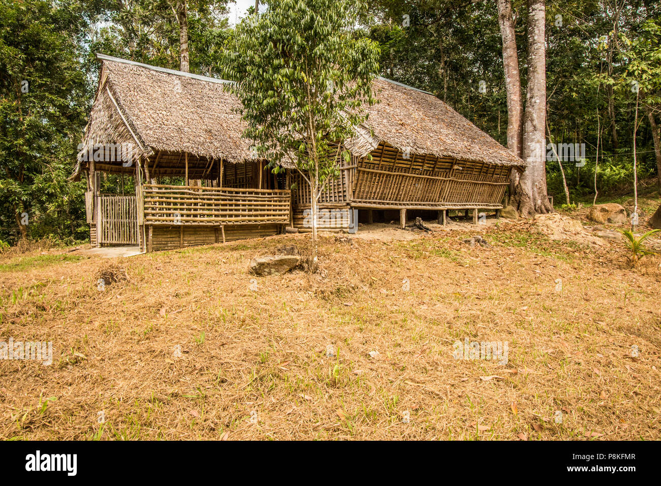 Traditionelle rungus Langhaus Kampung bavanggazo Sabah Malaysia Insel Borneo Stockfoto